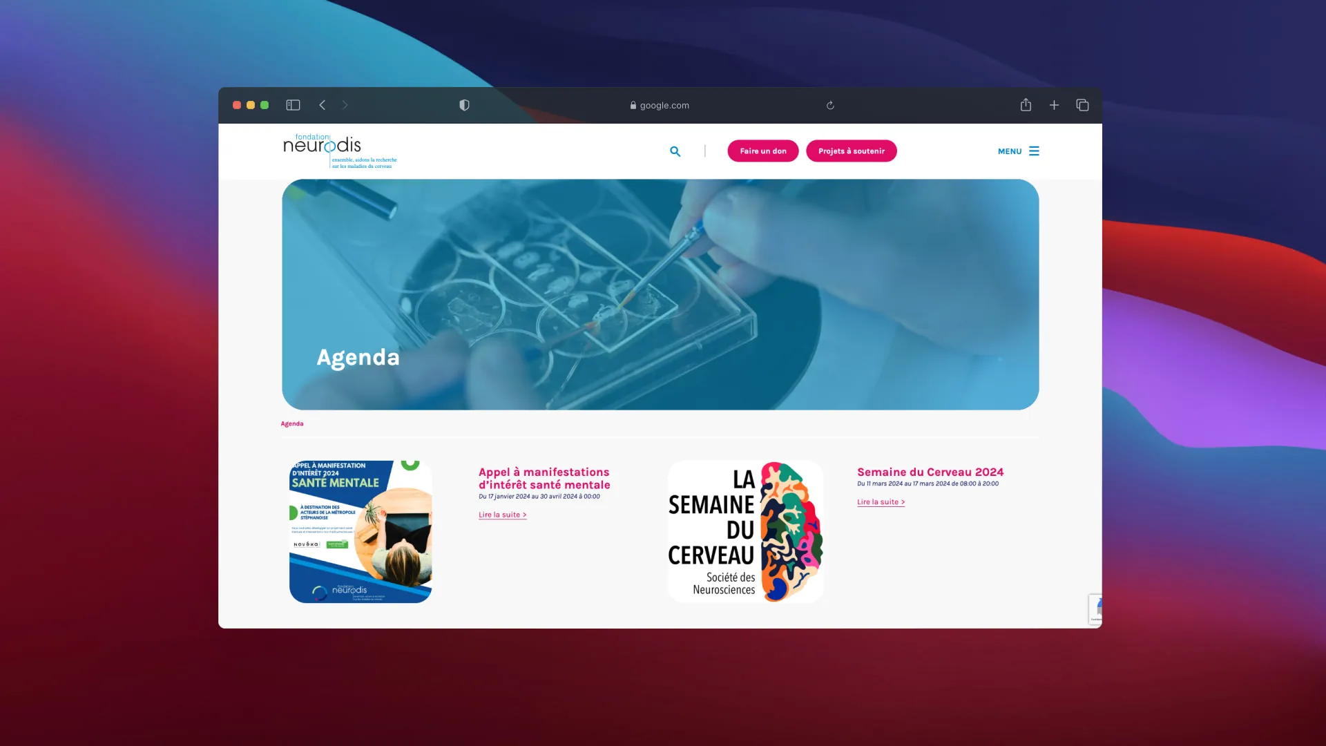 Fondation Neurodis website – screenshot 6 of 6